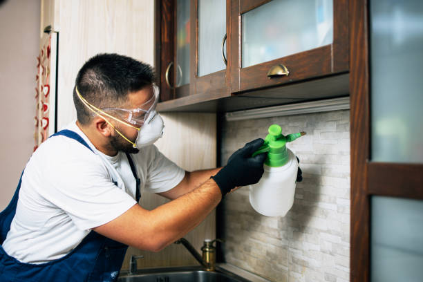 Best Emergency Pest Control  in Iraan, TX