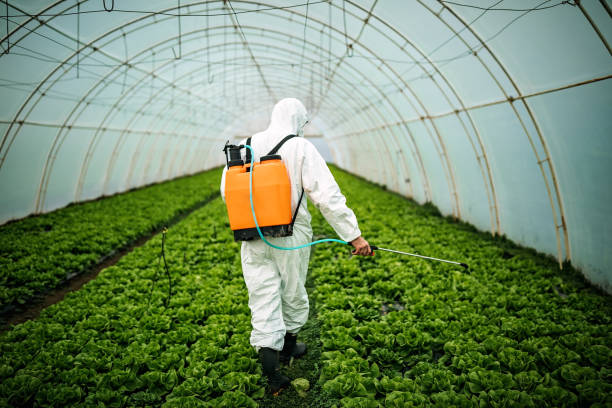 Pest Control Cost in Iraan, TX