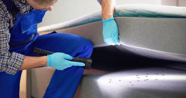 Best Exterminator Services  in Iraan, TX