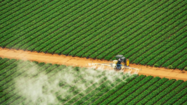 Trusted Iraan, TX Pest Control Experts