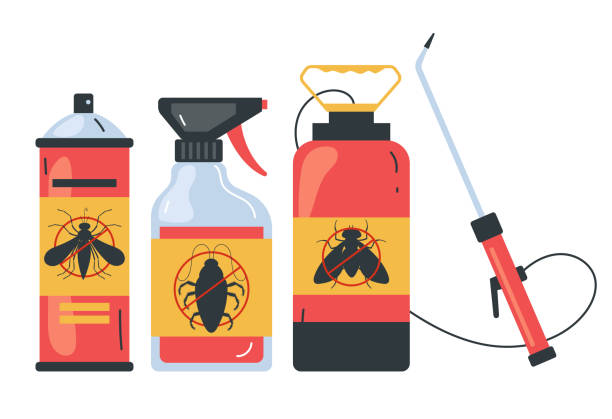 Best Termite Control Services  in Iraan, TX