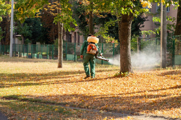 Best Best Pest Control Companies  in Iraan, TX