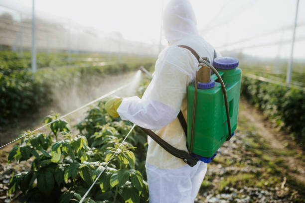 Reliable Iraan, TX Pest Control Solutions